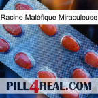 Racine Maléfique Miraculeuse 06